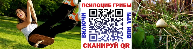 Псилоцибиновые грибы GOLDEN TEACHER  Красногорск 
